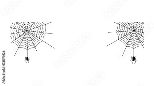 Spiderweb and spider: Delicate strands of a spiderweb, with a tiny spider patiently perched below, illustrating the intricate beauty of nature's architecture.