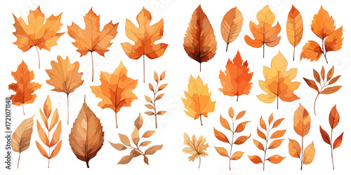 Collection of watercolor autumn leaves in warm orange tones  