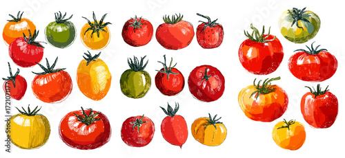 Colorful watercolor illustration of various ripe tomatoes in different sizes  