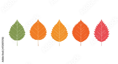 Five stylized leaves in a row showing the seasonal color change from green to orange and red.