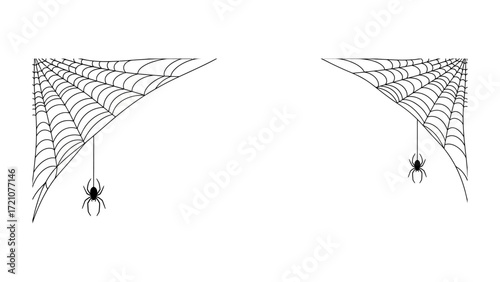 Spooky Spiderwebs: An eerie scene of two spiderwebs, each with a single spider. The stark contrast highlights the delicate structures, perfect for conveying a sense of mystery and Halloween.