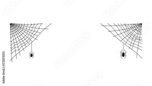 Spiderweb Duo: This image features a delicate spider web adorned with a single, intricately drawn spider, artfully suspended within the web's embrace.