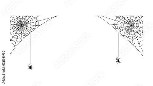Spider Web Duo: Intricate spiderwebs, expertly spun, accompanied by tiny spiders, are showcased in an eye-catching display.