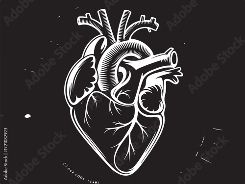 Anatomical Heart Illustration – Detailed Vintage Medical Drawing