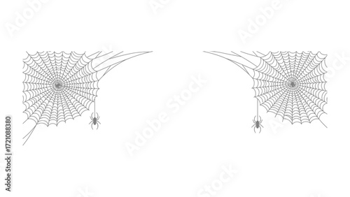 Spider Web Display: An artistic black and white illustration presents an intricate display of two spider webs, one with a spider, showcasing the spider's delicate structure and design. 
