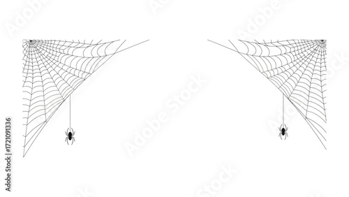 Spider and Web Artistry: A minimalist illustration of a spider delicately suspended within a spiderweb, showcasing the intricate artistry of nature's architecture.