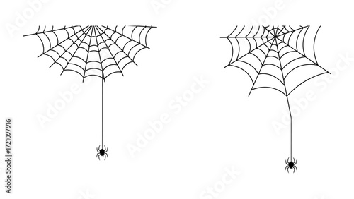 Spiderweb Silhouette Duo: A pair of intricately spun spiderwebs, depicted in elegant silhouettes, showcasing the delicate artistry of nature's architecture and insect artistry.