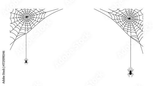 Spiderwebs' Duality: A pair of intricate spiderwebs, each with a solitary spider gracefully suspended, present a captivating display of the insect's intricate construction, and elegant design.