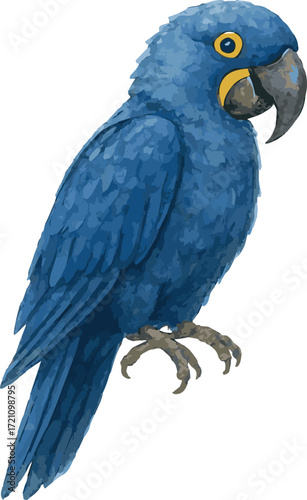 Vector adorable watercolor illustration of a hyacinth macaw ara parrot