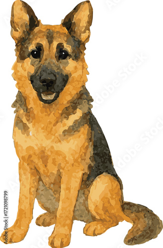 
Vector watercolor realistic illustration of a german sheperd dog