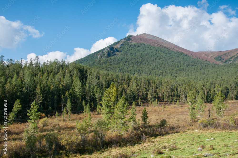Fototapeta premium Altai valley covered with green forests in late august on a sunny morning, Russia, the Altai Republic