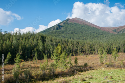 Altai valley covered with green forests in late august on a sunny morning, Russia, the Altai Republic