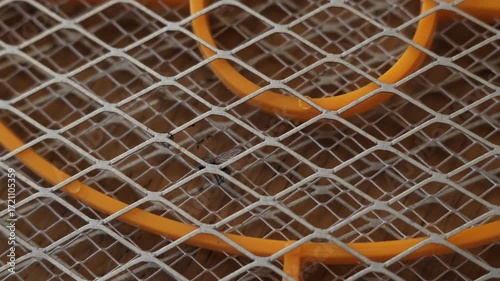 Close-up of an annoying fly being struck by an electric discharge from a mesh trap. Killing insects with a fly swatter.