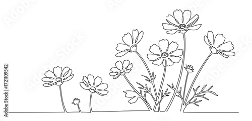 This illustration depicts flowers, resembling cosmos, growing from the ground. It has an abstract and minimalist design, giving the impression of being drawn with a single stroke of a pen.