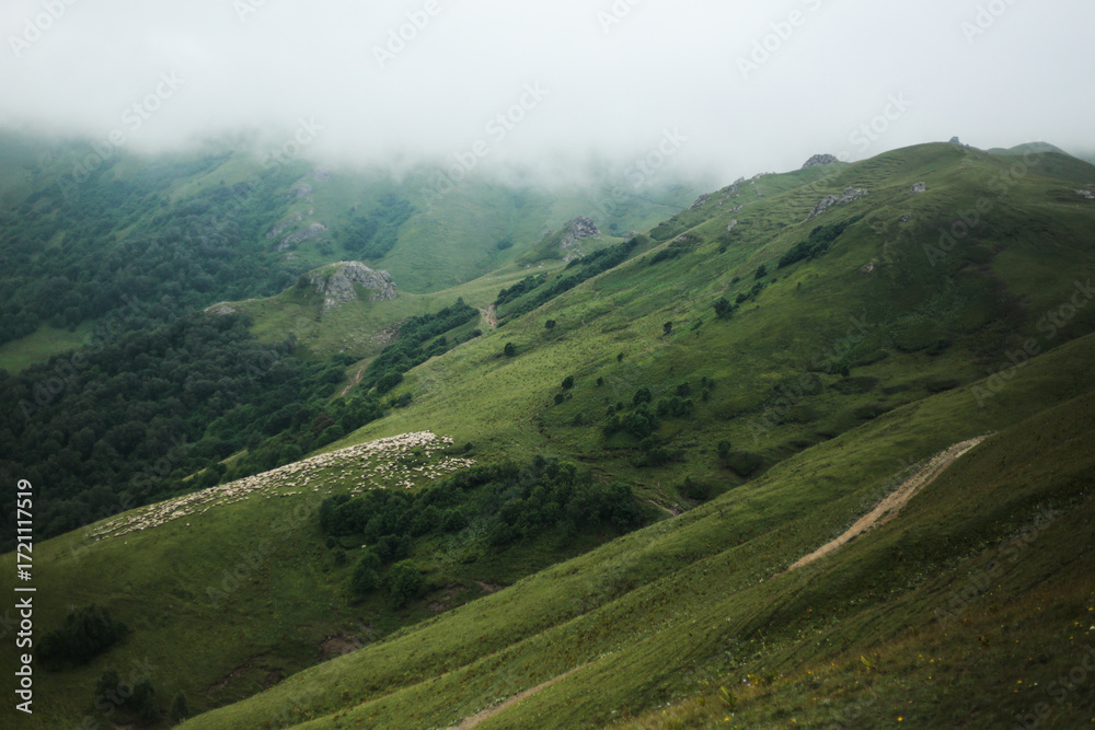 Fototapeta premium heep herd grazing on green mountain slopes