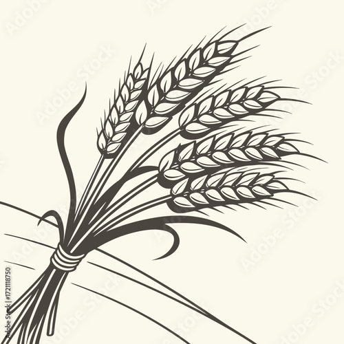 Wheat stalks vector illustration - grain harvest clipart | editable svg