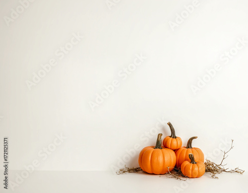 A clean, minimalist autumn still life of pumpkins and gourds in the bottom right corner with ample white copy space, perfect for seasonal designs and greetings.