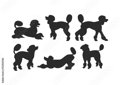 Poodle Dog Silhouette Collection Elegant Pet Vector Set
