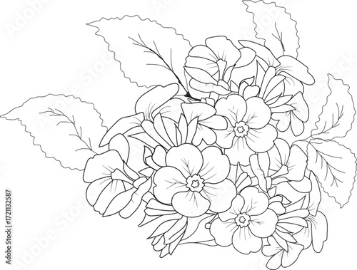 coloring pages, color page, flower, vector, floral, nature, leaf, plant, illustration, spring, art, design, drawing, flowers, decoration, summer, blossom, pattern, bouquet, garden, beauty, branch, pet