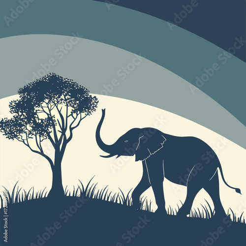 Silhouette of an elephant walking near a tree at sunset