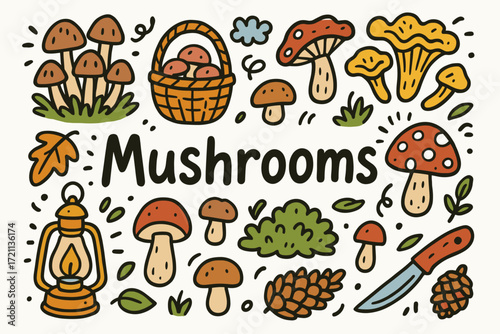 Mushroom, foraging outline icon set. fungi, harvest, nature icons collection