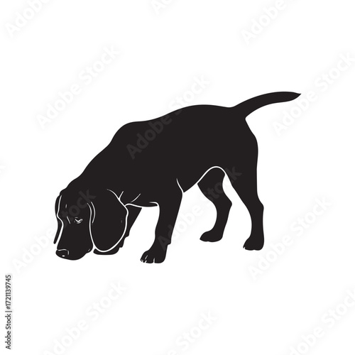 Dog silhouette sniffing ground, natural motion