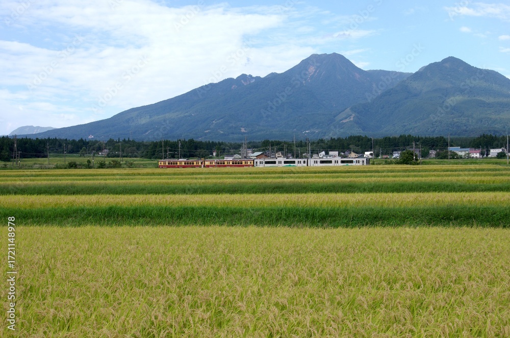 Fototapeta premium 秋の田園風景 妙高山と妙高はねうまラインの列車