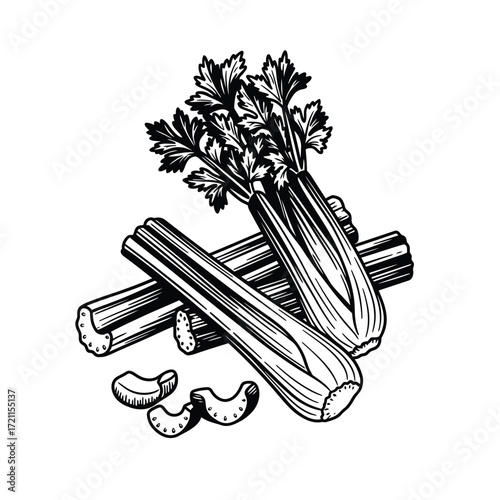 Fresh celery stalks and slices hand drawn sketch botanical food ingredient silhouette