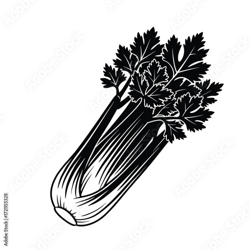Fresh celery stalk with green leaves isolated on white studio shot silhouette