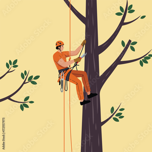 Arborist climbing tree with gear