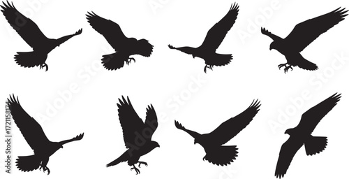 Flying bird silhouettes, raptor wings in motion, eagle hawk flight poses, black vector birds, dynamic avian shapes, wildlife illustration set