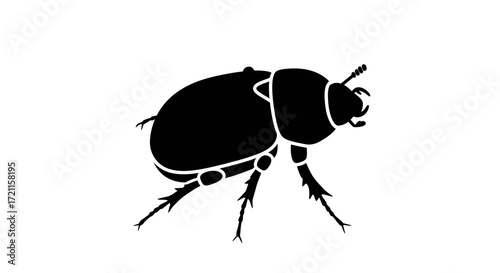 Detailed silhouette of a scarab beetle crawling with intricate legs and body details rendered in black