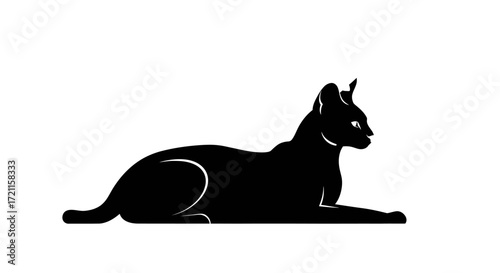 Silhouette of a sleek black cat lounging serenely on a clean white backdrop