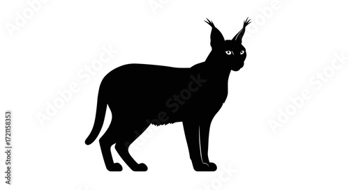 Silhouette of a majestic wild cat with pointed ears standing alert and watchful