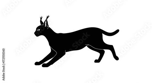 Silhouette of a black caracal cat in mid-stride elegant feline art for wildlife and pet enthusiasts