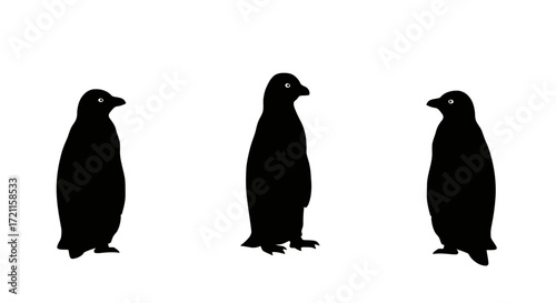 Three distinct black penguins stand in a line on a plain surface creating a visually striking composition
