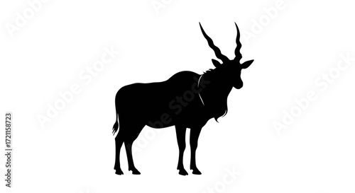 Silhouette of a majestic eland antelope standing proudly wildlife animal side view