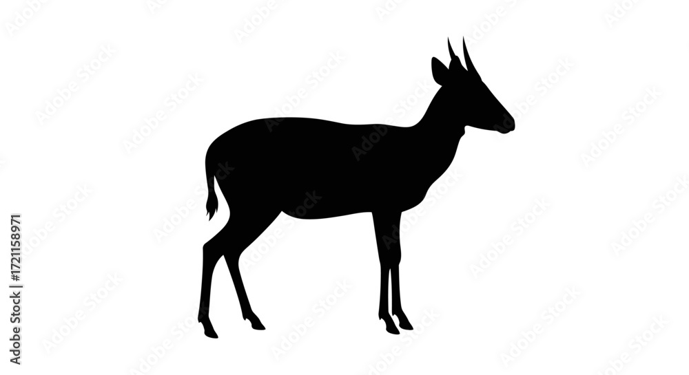 Obraz premium Silhouette of a dik-dik antelope standing gracefully against a plain backdrop