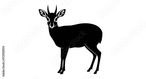 Elegant silhouette of a dik-dik antelope standing gracefully isolated graphic art
