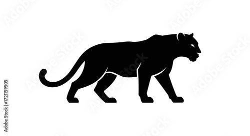 Majestic black panther silhouette walking gracefully powerful predator wild cat animal