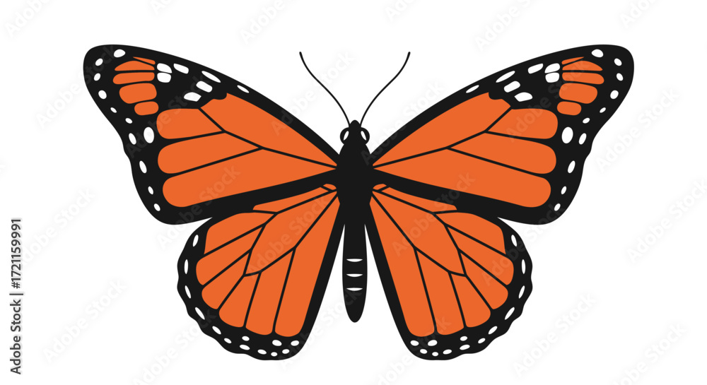 Fototapeta premium Vibrant monarch butterfly close-up detailed wings nature insect winged creature beautiful