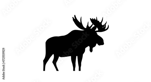 Majestic silhouette of a powerful moose with antlers standing proudly in nature