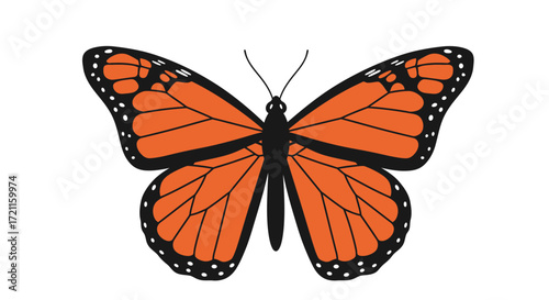 Beautiful monarch butterfly insect with orange wings detailed wings pattern nature wildlife