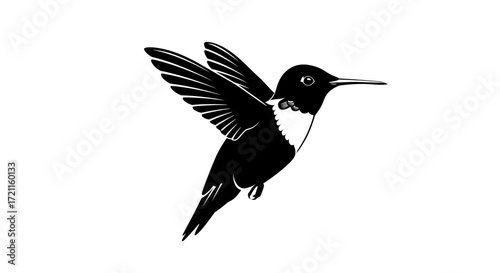 Majestic black hummingbird in flight with detailed wings against a white canvas