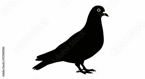 Silhouette of a black pigeon standing on a white surface with its beak open