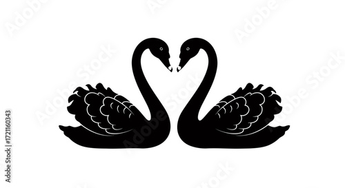 Elegant black swans forming a heart shape symbolizing love and romance