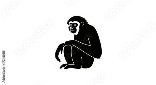 Silhouetted gibbon monkey sitting down primate wild animal nature wildlife jungle forest creature