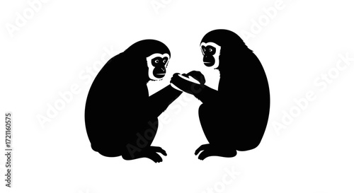 Two black gibbons sitting together interacting intently in a detailed silhouette