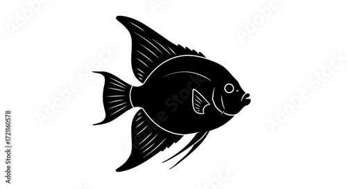 Silhouette of a black angelfish aquatic creature detailed fins and body isolated