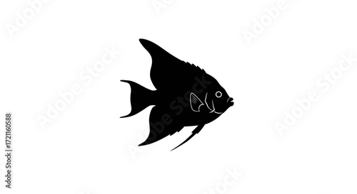 Silhouetted angelfish aquatic pet marine life underwater ocean tropical freshwater